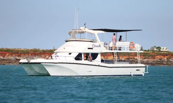 Roebuck Bay Snubfin Dolphin Eco Cruise - Half Day