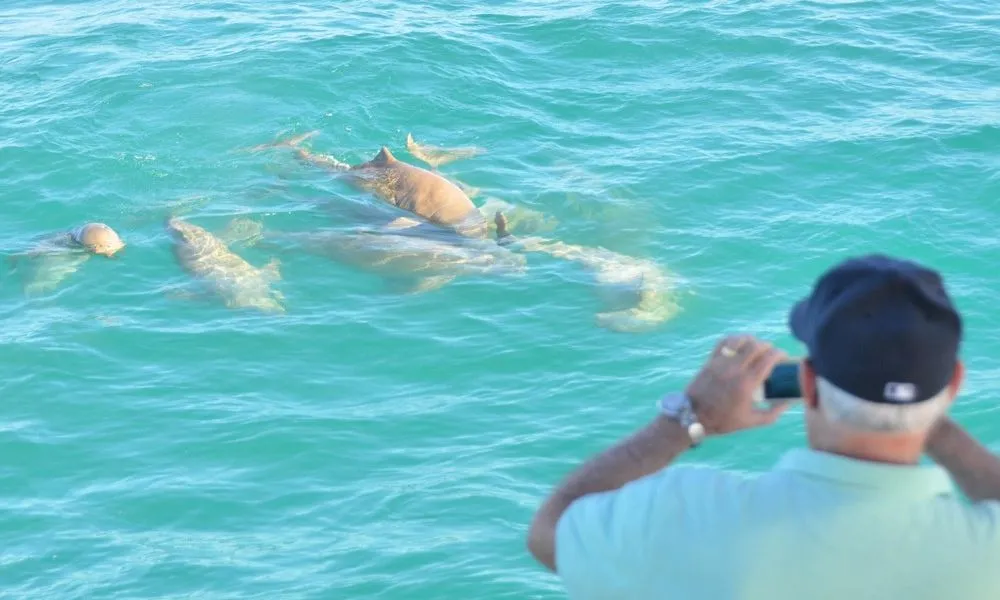 Roebuck Bay Snubfin Dolphin Cruise - Half Day | Experience Oz-4