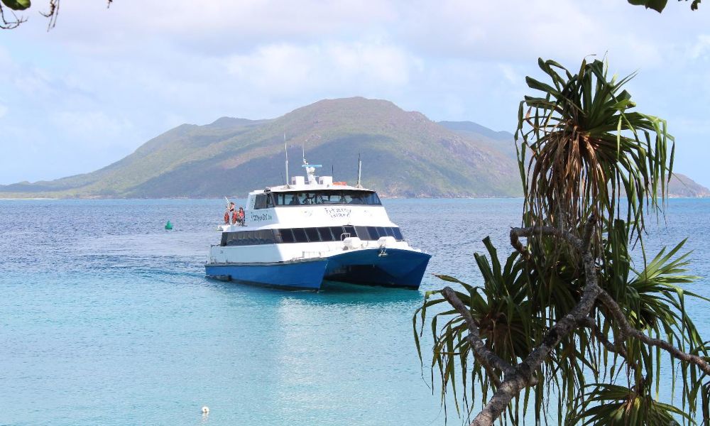 Return Ferry Ride, Full Day - Cairns, Fitzroy Island