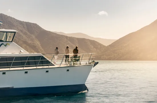 Marlborough Sounds Seafood Cruise with Wine - 3.5 Hours