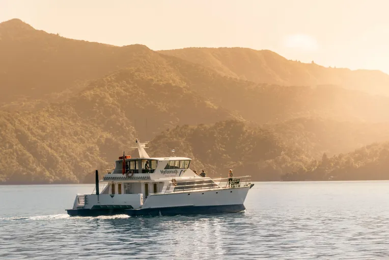 Marlborough Sounds Seafood Cruise with Wine - 3.5 Hours