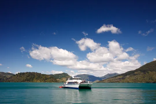 Marlborough Sounds Seafood Cruise with Wine - 3.5 Hours