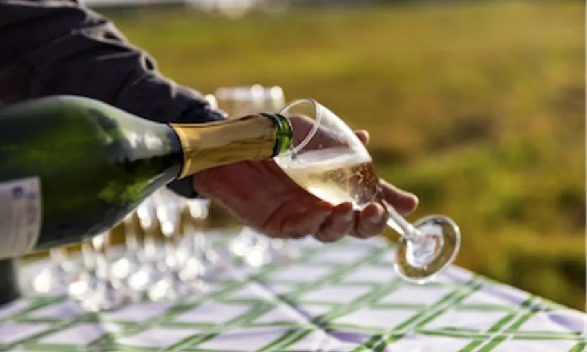 Gold Coast Hot Air Ballooning with Sparkling Wine & Transfer