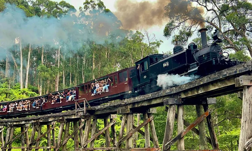 Puffing Billy & Phillip Island Penguins Day Tour | Experience Oz