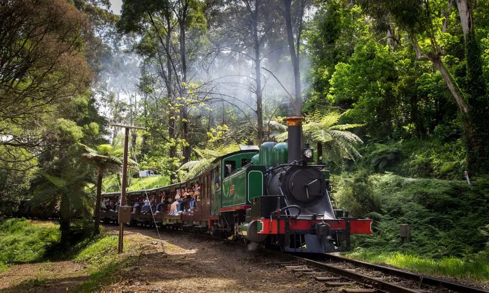 Puffing Billy & Phillip Island Penguins Day Tour | Experience Oz-7