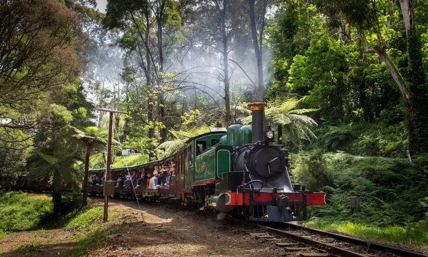 Puffing Billy & Phillip Island Penguins Day Tour | Experience Oz
