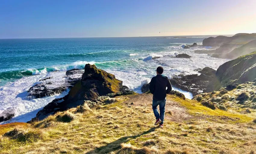 Puffing Billy & Phillip Island Penguins Day Tour | Experience Oz