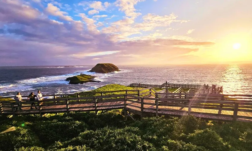Puffing Billy & Phillip Island Penguins Day Tour | Experience Oz