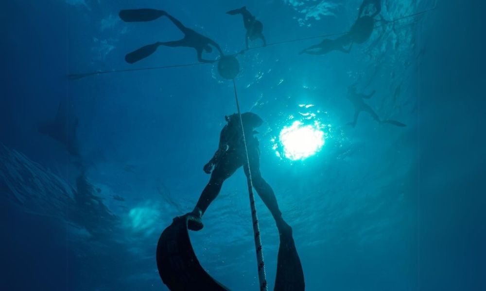 Beginner PADI Freediving Course, 2 Days - Shellharbour