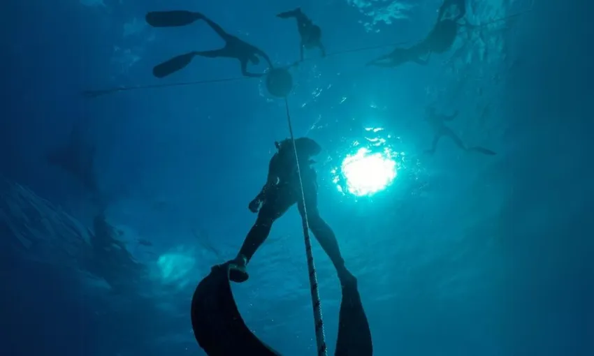 Beginner PADI Freediving Course, 2 Days - Shellharbour