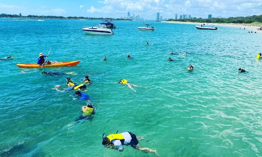 Gold Coast Broadwater Kayaking and Snorkelling Tour, 3 Hours