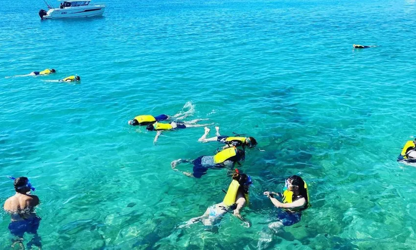 Gold Coast Broadwater Kayaking and Snorkelling Tour, 3 Hours