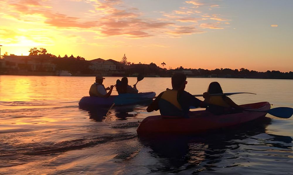 Surfers Paradise Sunset Kayaking Tour - 90 Minutes 