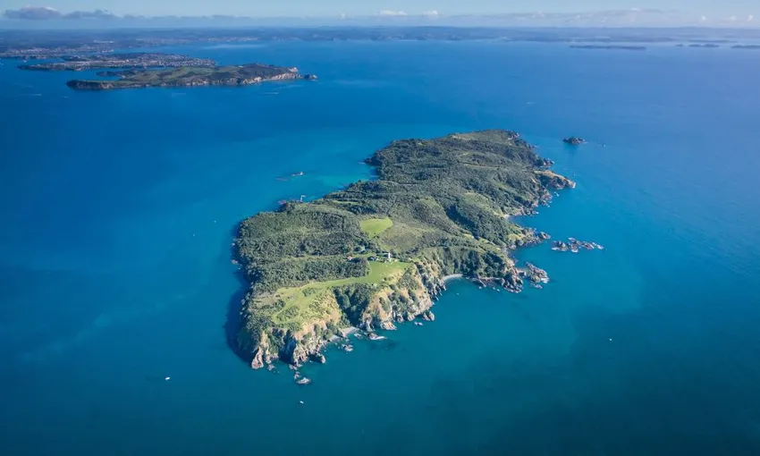 Tiritiri Matangi Island Eco Adventure, Full Day - Auckland