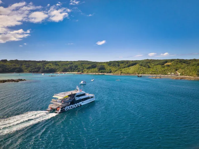 Tiritiri Matangi Island Eco Adventure, Full Day - Auckland