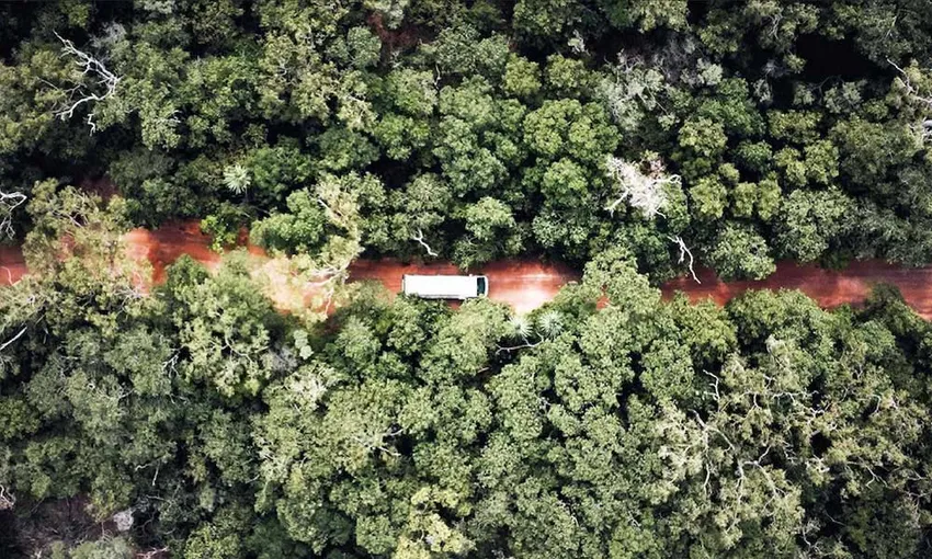 Magnetic Island Adventure Bus Tour - 3.5 Hours | Experience Oz