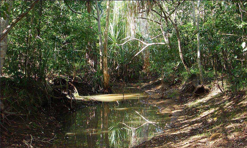 Magnetic Island Adventure Bus Tour - 3.5 Hours | Experience Oz