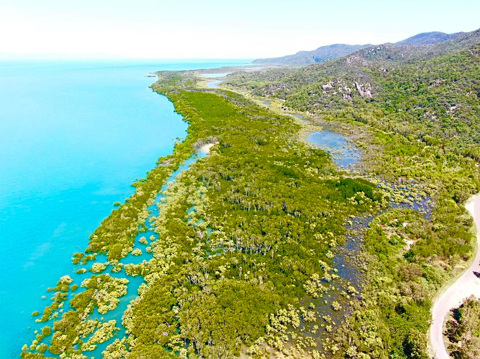 Magnetic Island Adventure Bus Tour - 3.5 Hours | Experience Oz-9