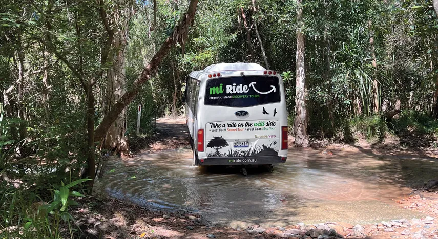 Magnetic Island Adventure Bus Tour - 3.5 Hours | Experience Oz