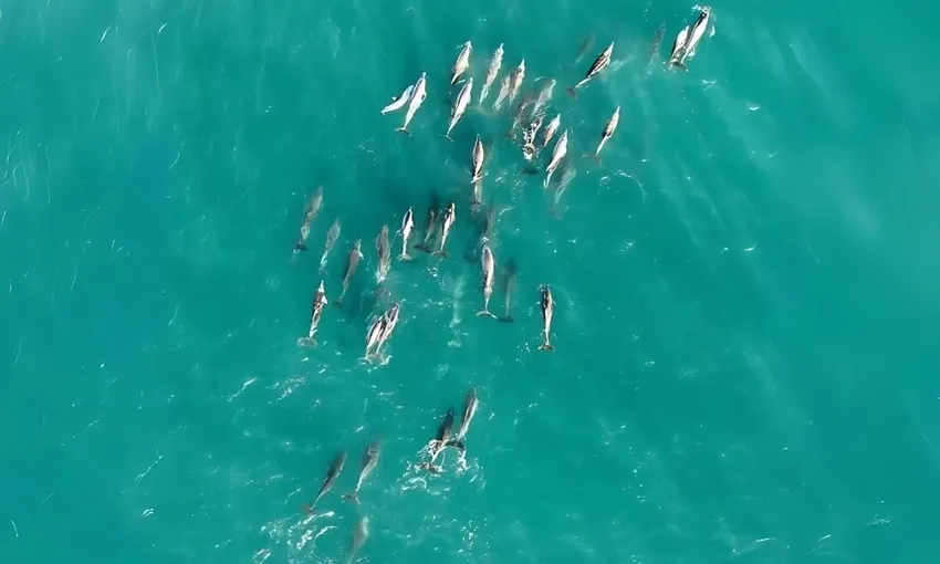 North Stradbroke Island Tour, Full Day - Brisbane