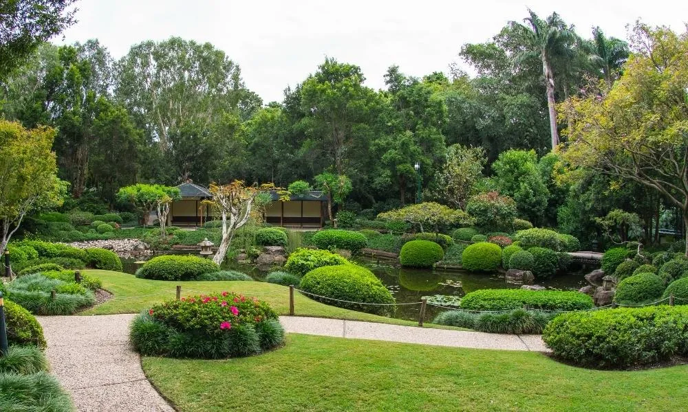 Brisbane City Highlights Guided Minibus Tour | Experience Oz-7