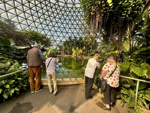 Brisbane City Highlights Guided Minibus Tour - Half Day