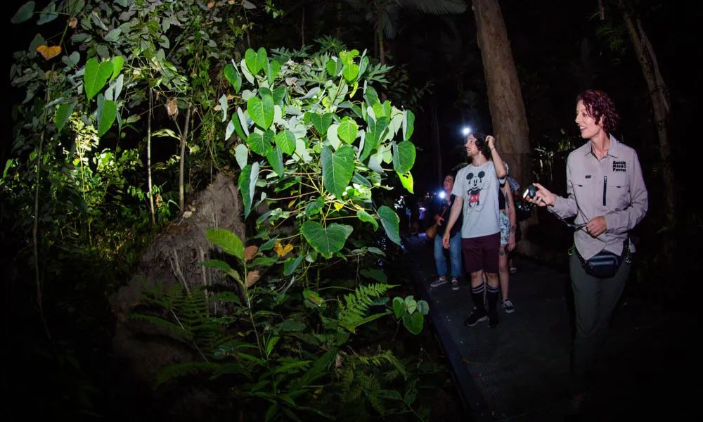 Cairns Botanic Gardens 2 Hour Guided Night Walk | Experience Oz-5