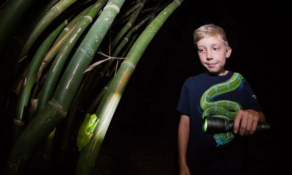 Cairns Botanic Gardens 2 Hour Guided Night Walk | Experience Oz-9