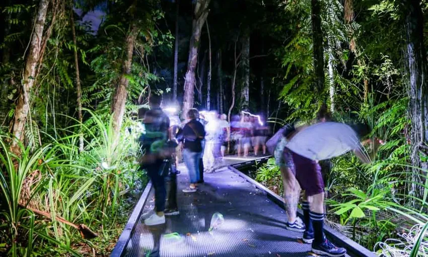 Cairns Botanic Gardens 2 Hour Guided Night Walk | Experience Oz