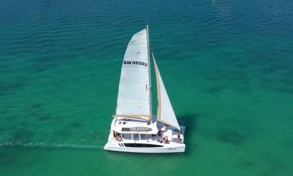 Gold Coast Whale Watching Cruise with Lunch - 4 Hours