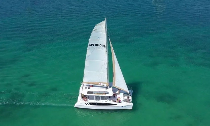 Gold Coast Whale Watching Cruise with Lunch | Experience Oz