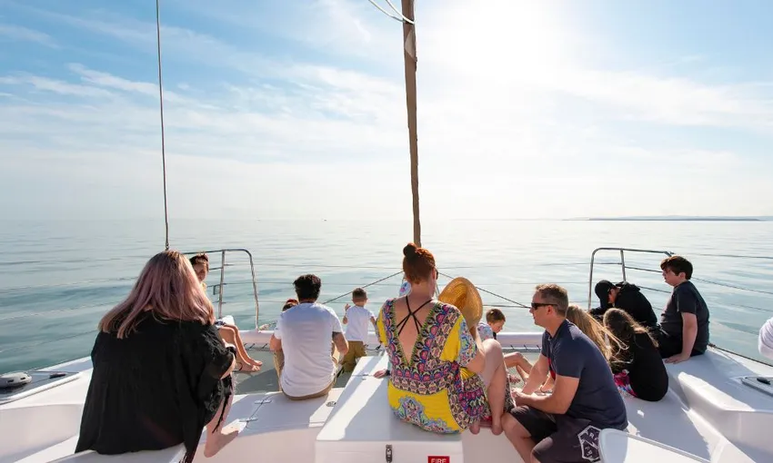 Gold Coast Whale Watching Cruise with Lunch | Experience Oz