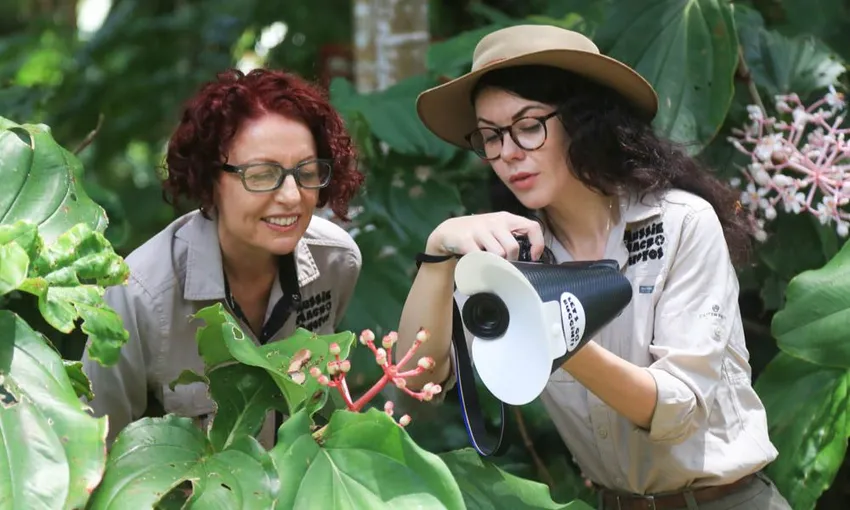 Cairns Botanic Gardens Guided Walk - 2 Hours | Experience Oz