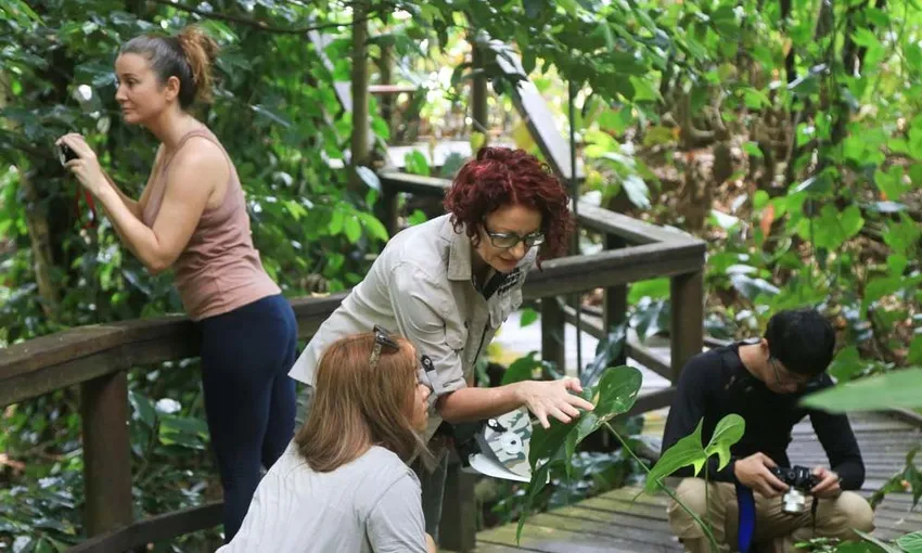 Cairns Botanic Gardens Guided Walk - 2 Hours | Experience Oz