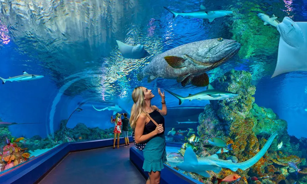 Cairns Tomb of the Pharaohs & Aquarium Admission | Experience Oz-1