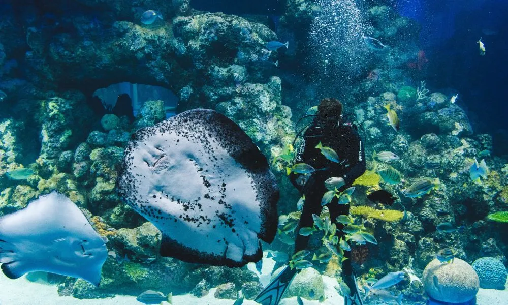 Cairns Tomb of the Pharaohs & Aquarium Admission | Experience Oz-6