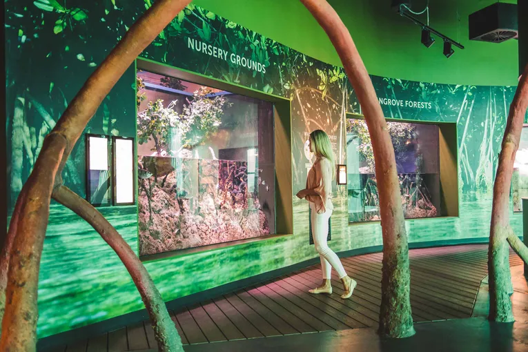 Cairns Tomb of the Pharaohs & Aquarium Admission | Experience Oz