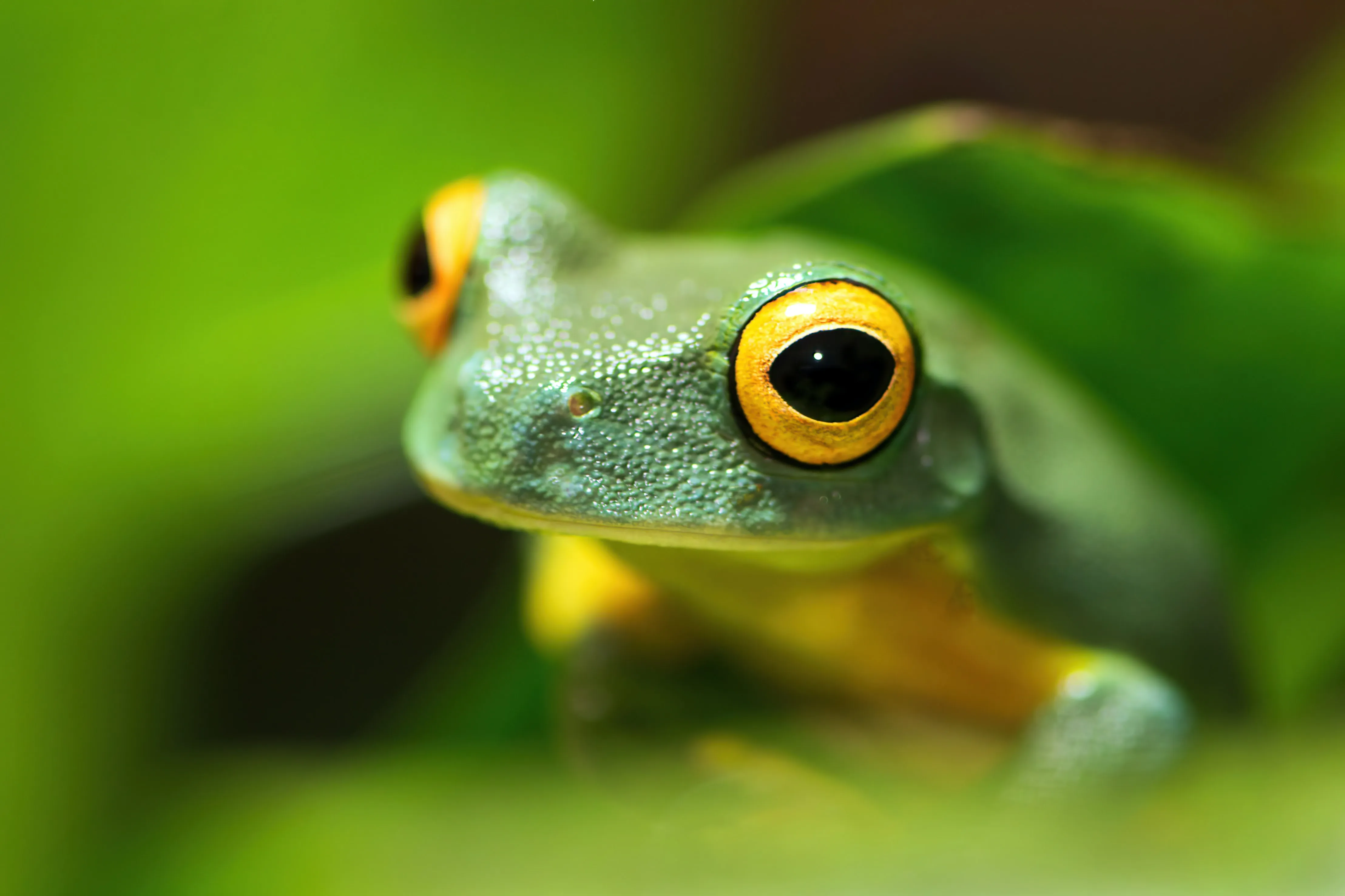 Cairns Tomb of the Pharaohs & Aquarium Admission | Experience Oz-14