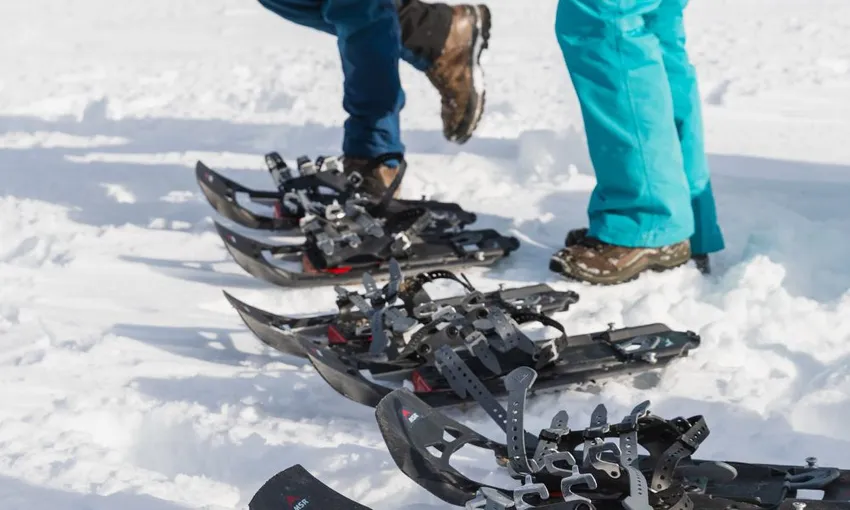 Pisa Range Snowshoe Trek & Helicopter Flight | Experience Oz + NZ