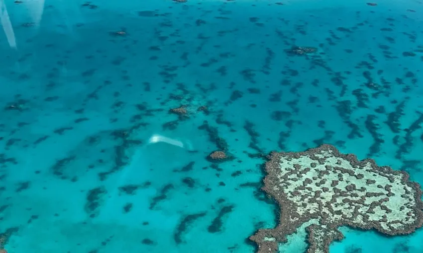 Scenic Flight Over Heart Reef, 1 Hour - Airlie Beach