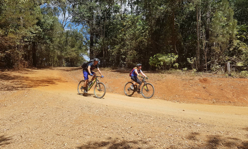 Self-Guided Mountain Bike Tour - Tablelands Rainforest