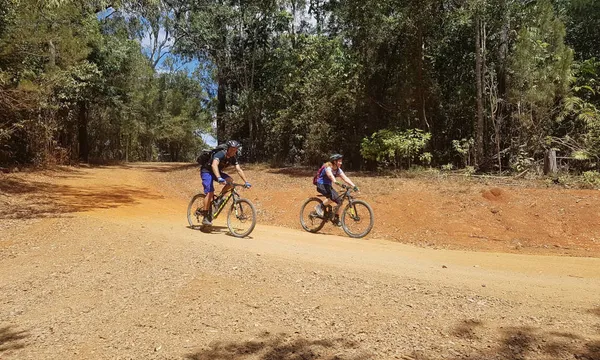 Self-Guided Mountain Bike Tour - Tablelands Rainforest