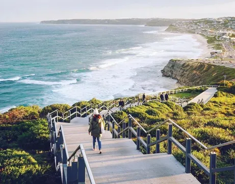 Newcastle Guided Coastal & City Tour - 3 Hours