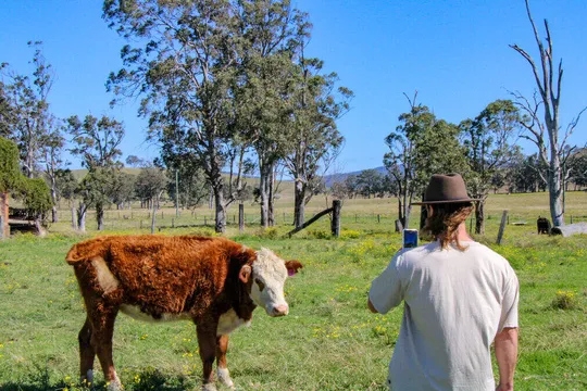 Country Towns: River & Farm Tour