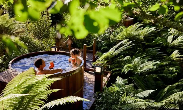 Rotorua Day Trip to Te Puia & Secret Spot Hot Tubs