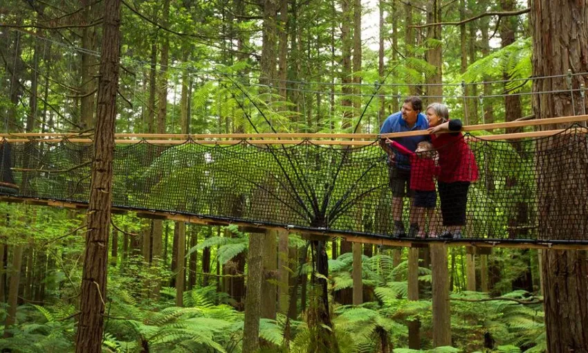 Rotorua Day Tour to Wai-O-Tapu & Redwoods | Experience Oz + NZ
