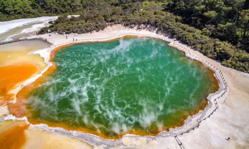 Rotorua Day Tour to Wai-O-Tapu & Redwoods | Experience Oz + NZ