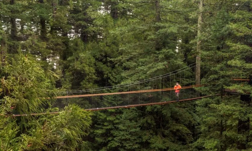 Rotorua Day Tour to Wai-O-Tapu & Redwoods | Experience Oz + NZ