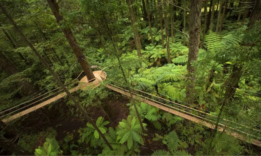 Rotorua Day Tour to Wai-O-Tapu & Redwoods | Experience Oz + NZ