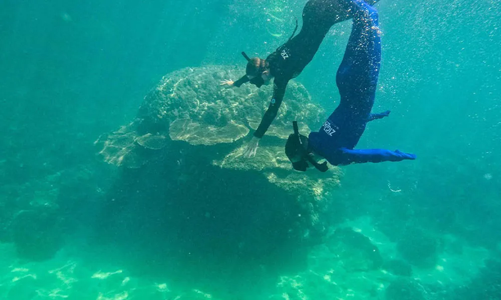 Whitehaven Beach Tour with Lunch - Full Day | Experience Oz-10